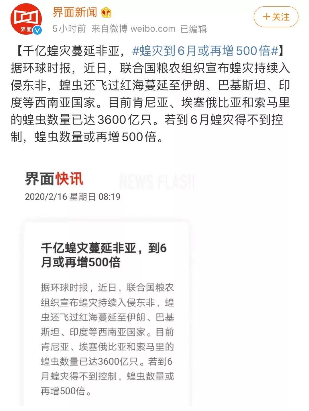 蝗灾最新灾情及灾情分析简报