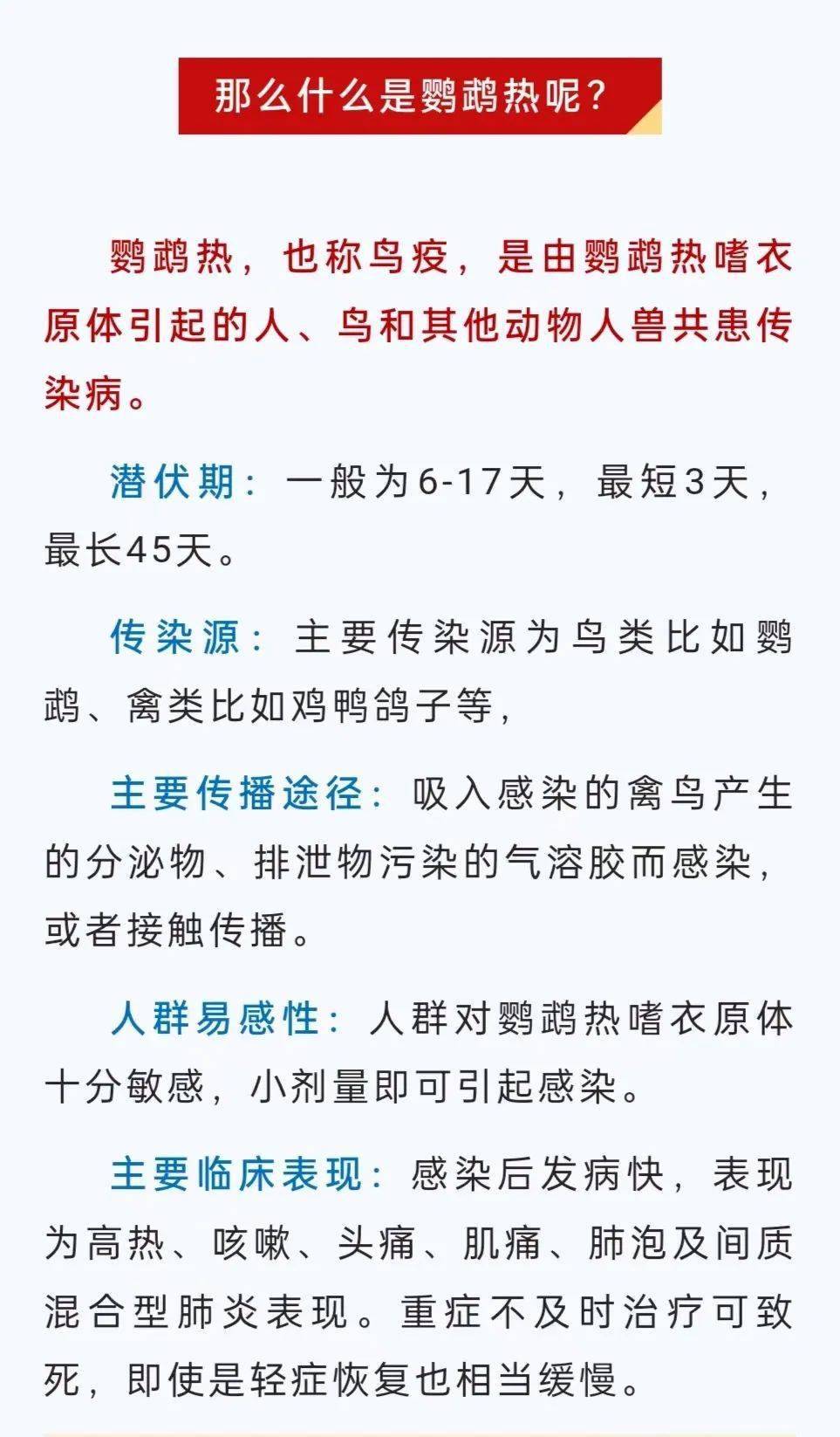 乌鸦热最新，温馨的友情故事