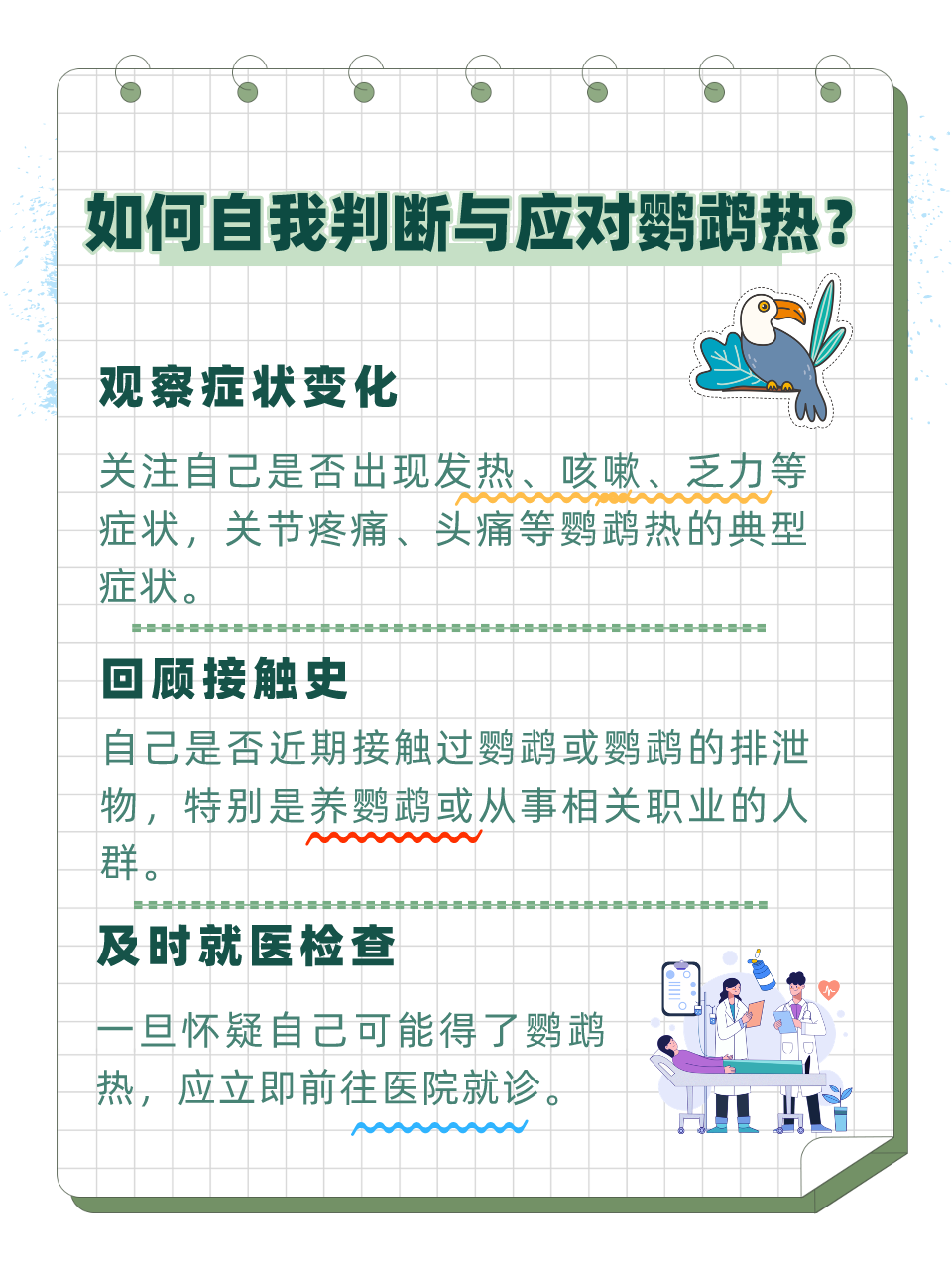 乌鸦热最新，温馨的友情故事