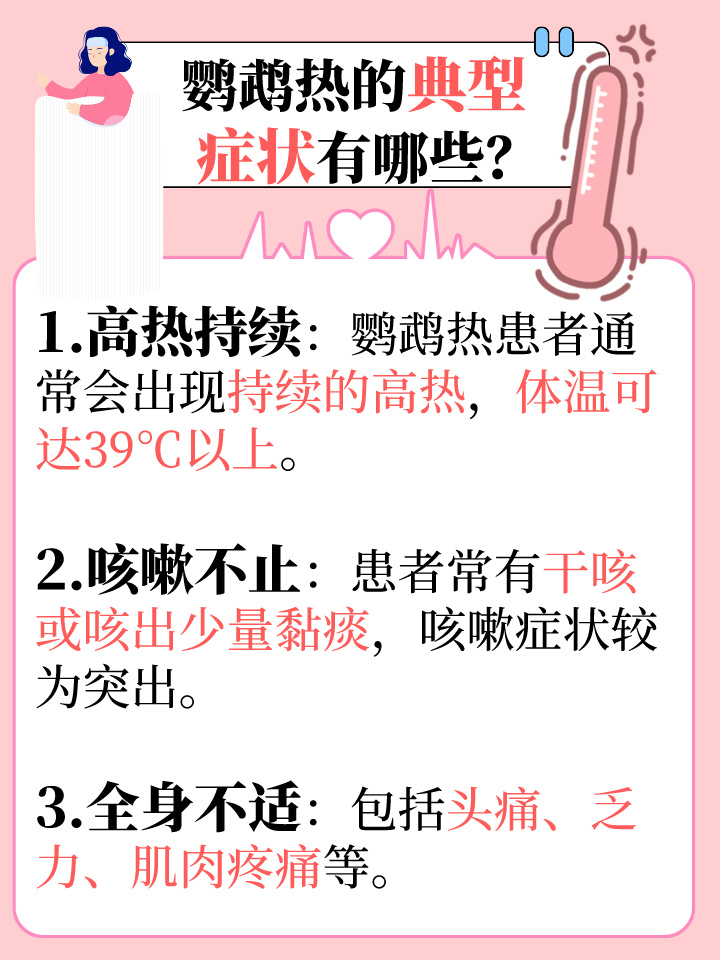 乌鸦热最新，温馨的友情故事