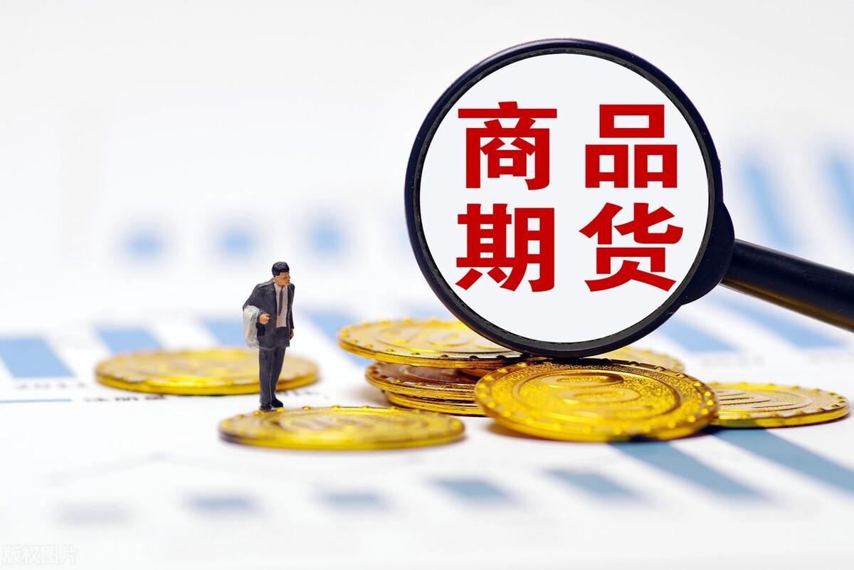 豆粕最新期货行情，与自然美景的邂逅与内心的平和之旅