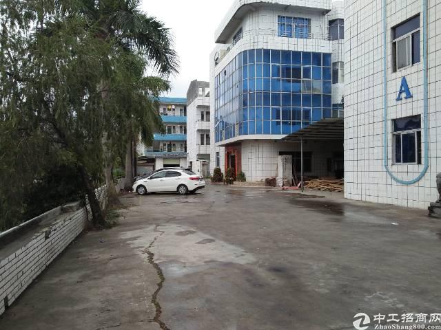 茶山镇最新高科技产品展示，未来科技魅力触手可及的体验