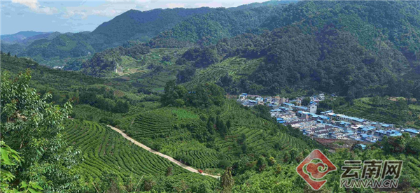 茶山镇最新高科技产品展示，未来科技魅力触手可及的体验