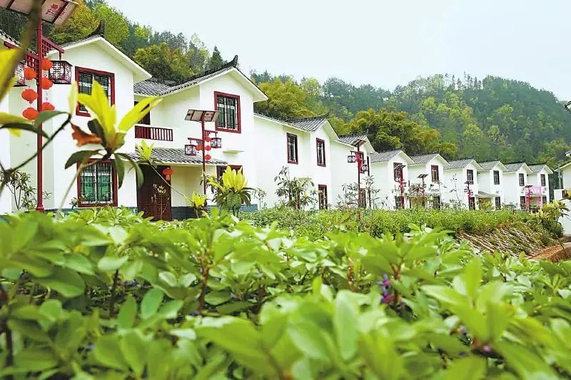 新乡，科技重塑生活，前沿高科技产品体验之旅