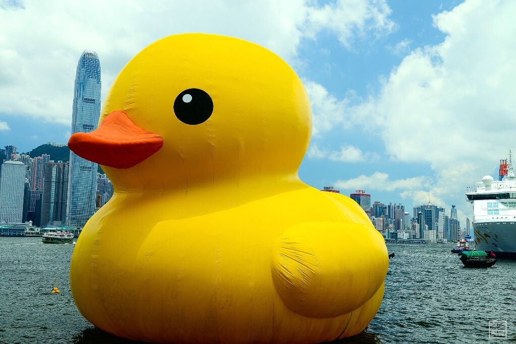 小黄鸭最新，自然美景探险之旅，寻找内心平和与宁静的旅程