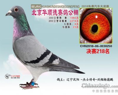 最新公棚，友情与欢乐的温馨家园