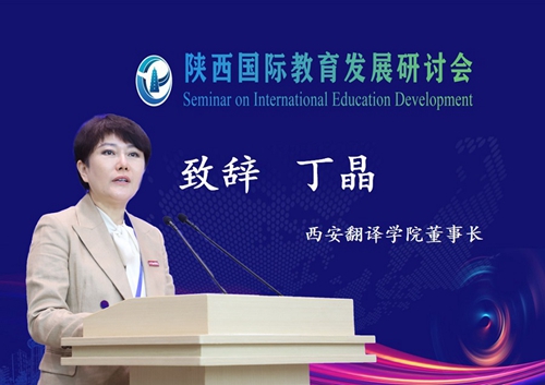 陕西最新翻译，小巷深处的隐藏瑰宝揭秘