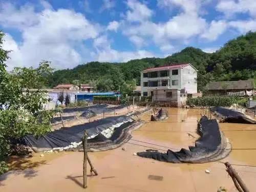 商洛最新灾情报告，最新灾情汇总及应对进展