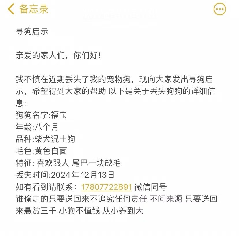 寻狗最新指南，详细步骤助你快速找回失踪宠物犬