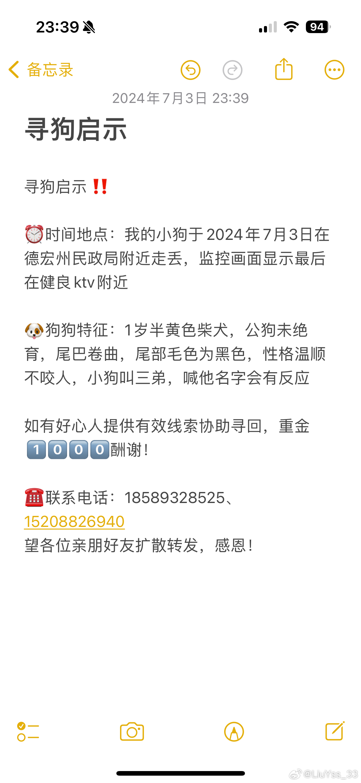 寻狗最新指南，详细步骤助你快速找回失踪宠物犬