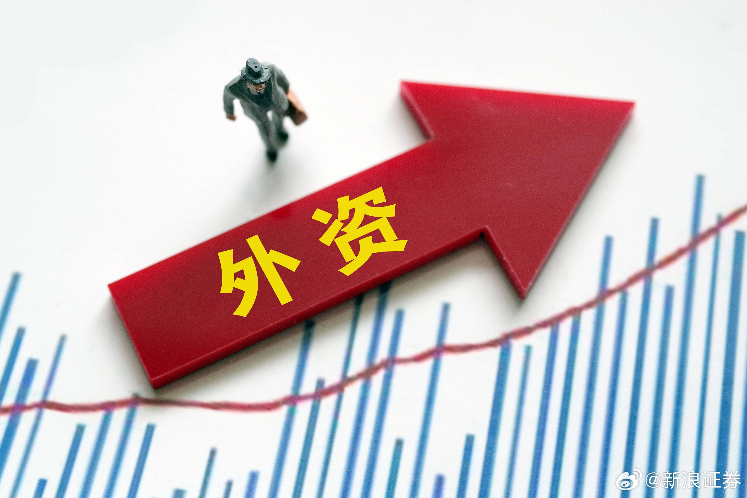 探索自然美景之旅，寻找内心的平和与对外披露的最新发现