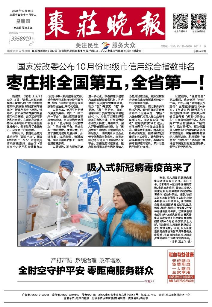 枣庄最新报道，自然之旅，探索内心平静的奇妙旅程