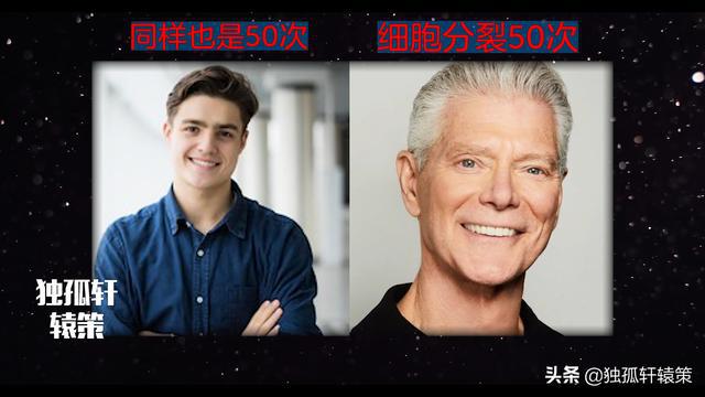 永生最新动态及相关论述揭秘