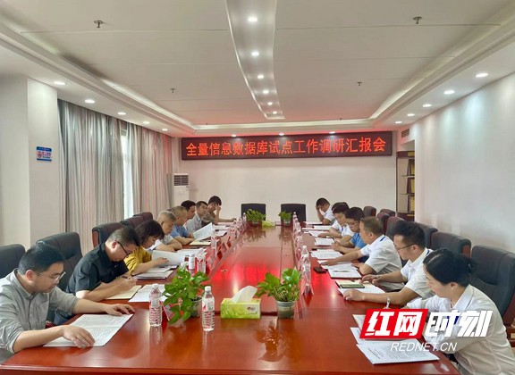 衡东新闻最新动态，小巷深处的独特风味