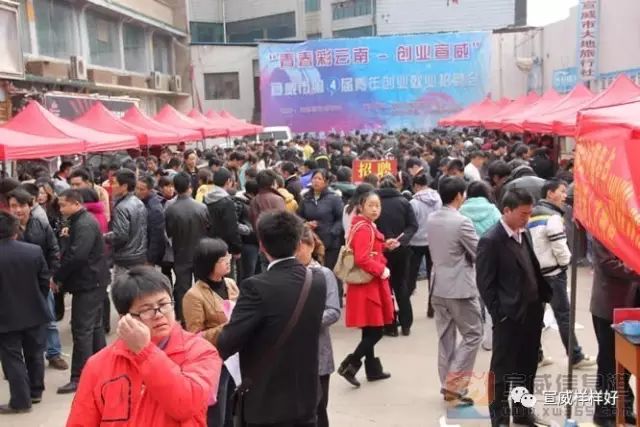 宣威最新招聘热点及观点论述