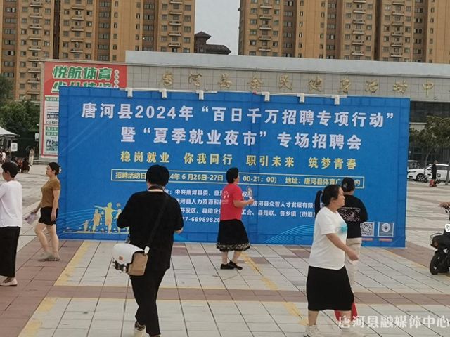 唐河最新招聘信息全解析，获取指南与动态更新