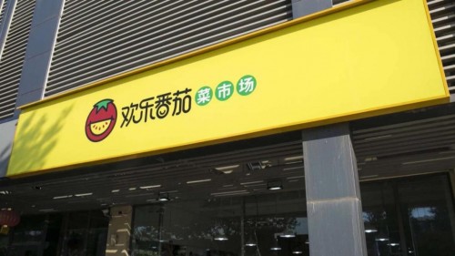 番茄社区最新动态，创新、发展与社区活力的完美融合