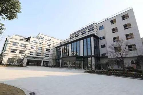 杭州最新拆迁政策下的惊喜发现，小巷特色小店探秘之旅