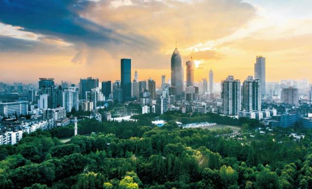 最新省市区，温馨日常与友情绽放的时光