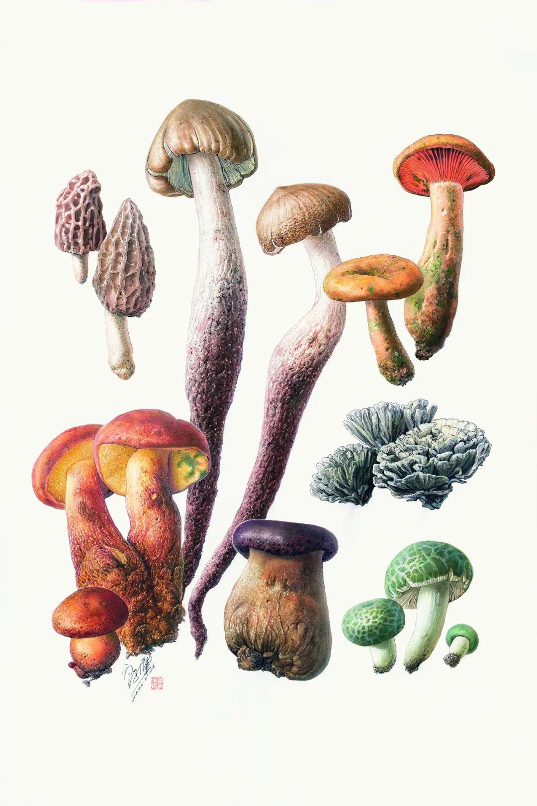 最新网络热词演变与影响力解析