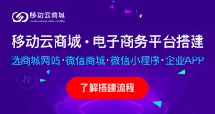 电商科技新品重塑购物体验，科技引领生活精彩变革
