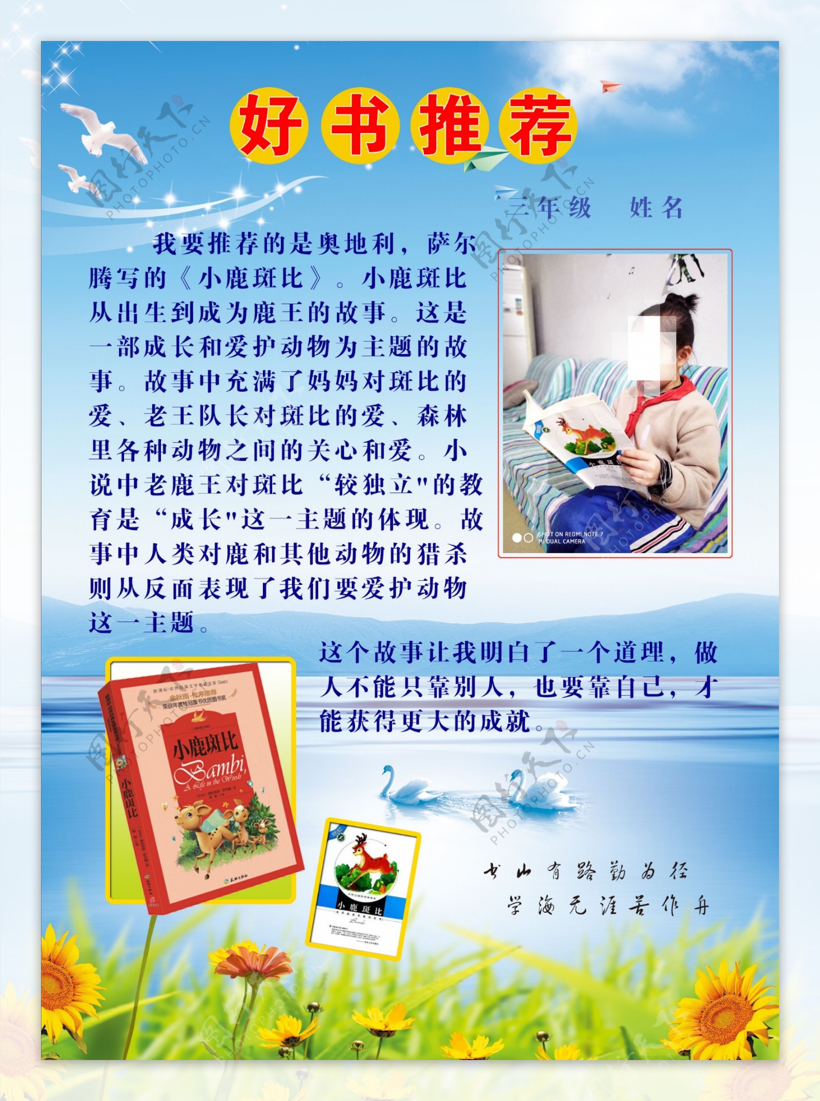 最新好书推荐，文化与知识的盛宴