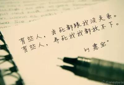 与自然美景的邂逅，寻找内心的平和与伤感共鸣