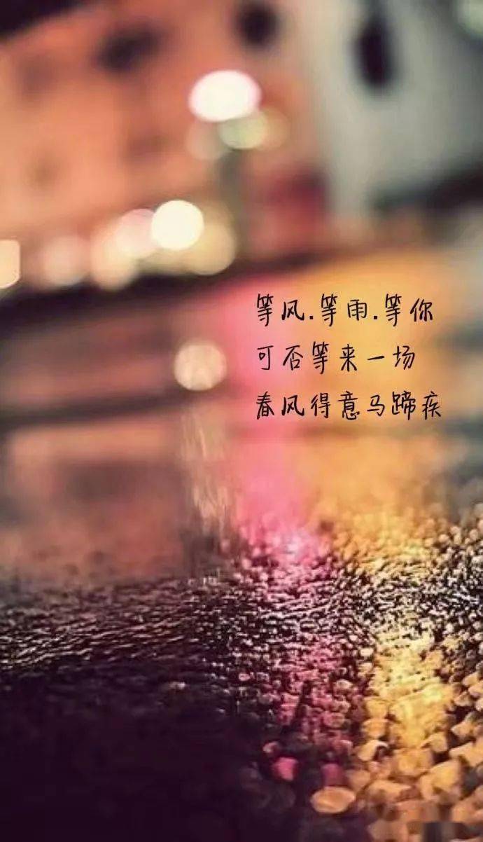 与自然美景的邂逅，寻找内心的平和与伤感共鸣