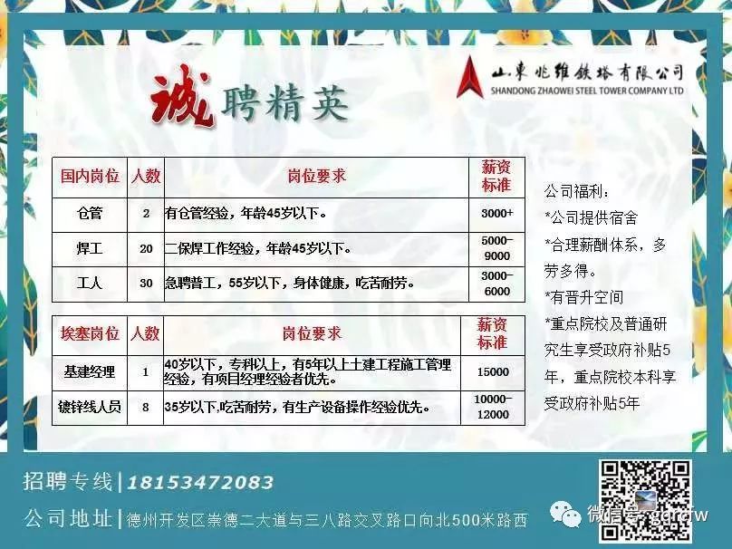 德化招聘网最新招聘，探索自然美景之旅，寻找内心平和宁静的职位机会