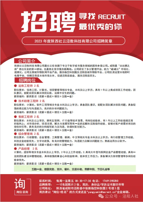 泾阳最新招聘信息，时代脉搏下的职业新机遇
