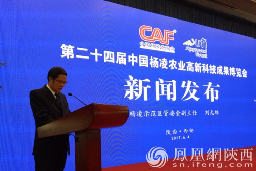 杨凌最新新闻探索自然美景之旅，寻找内心平静之旅