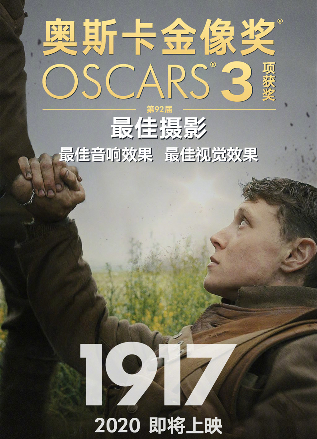 奥斯卡最新电影，时代印记与电影巅峰的碰撞
