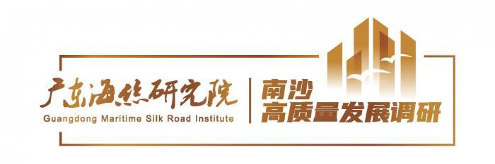 南沙发展最新动态，前景、挑战与观点分析