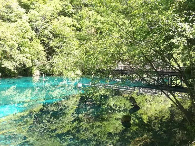 九寨沟景区最新动态揭秘，深度解析与观点阐述