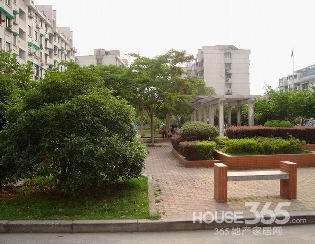 平原最新房屋出租信息，家的温馨与友情的深度探索