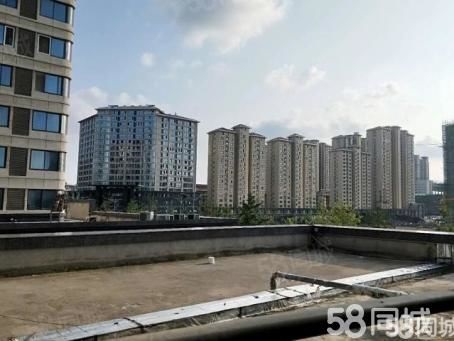 泗阳亿阳国际房价揭秘，一段关于友情与家的温馨故事