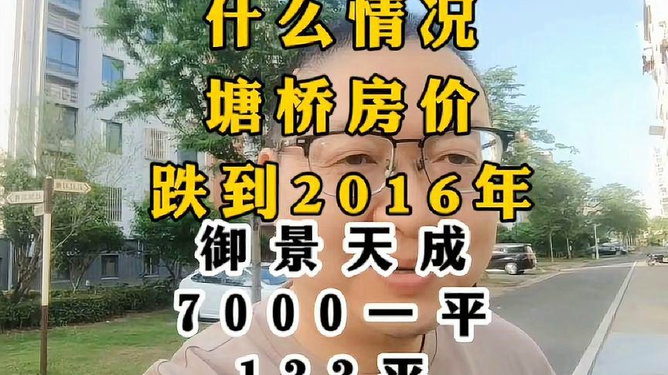 塘桥御景天成最新价格动态，风景变化中的学习与成就之路