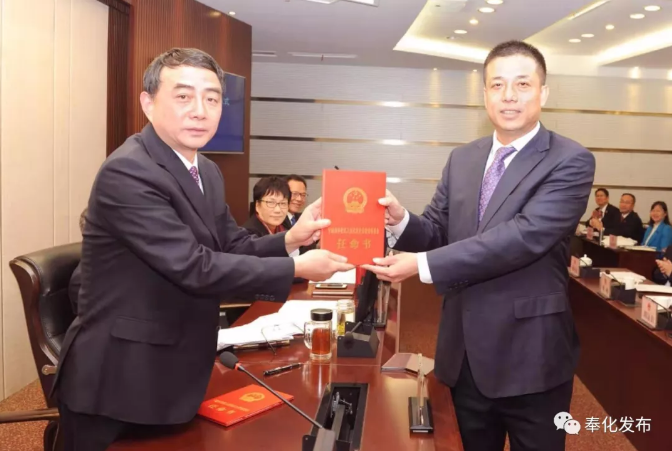 奉化区新任领导引领变革，铸就未来之光