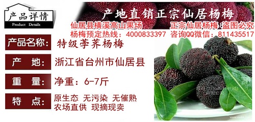 高明杨梅溢达最新招聘信息及日常趣事概述
