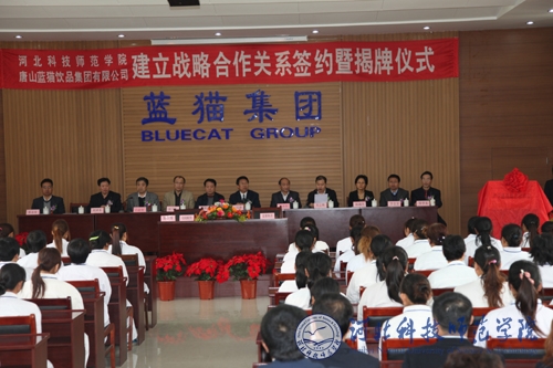 蓝猫集团最新动态，小巷中的隐藏瑰宝