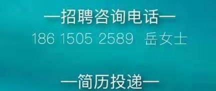 威海市最新招聘信息全面概览