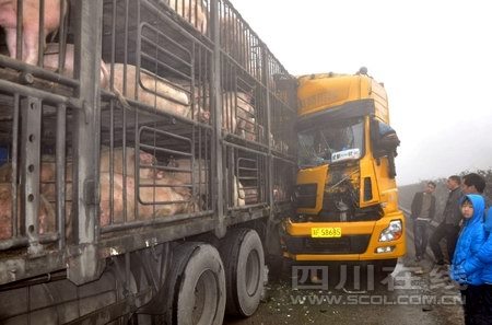 广安车祸新闻最新更新，自然之旅寻求内心宁静与平和
