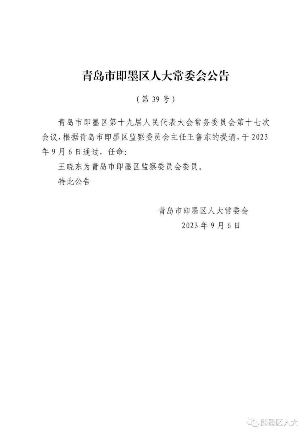文登区政府最新人事任免，领导层新变化及未来展望