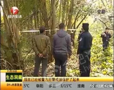 大蜀山女尸最新动态及探索了解之旅步骤指南